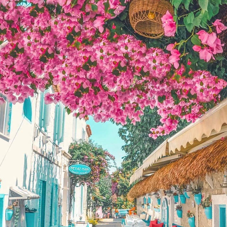 BUTİK EGE TURU Fotoğrafları 