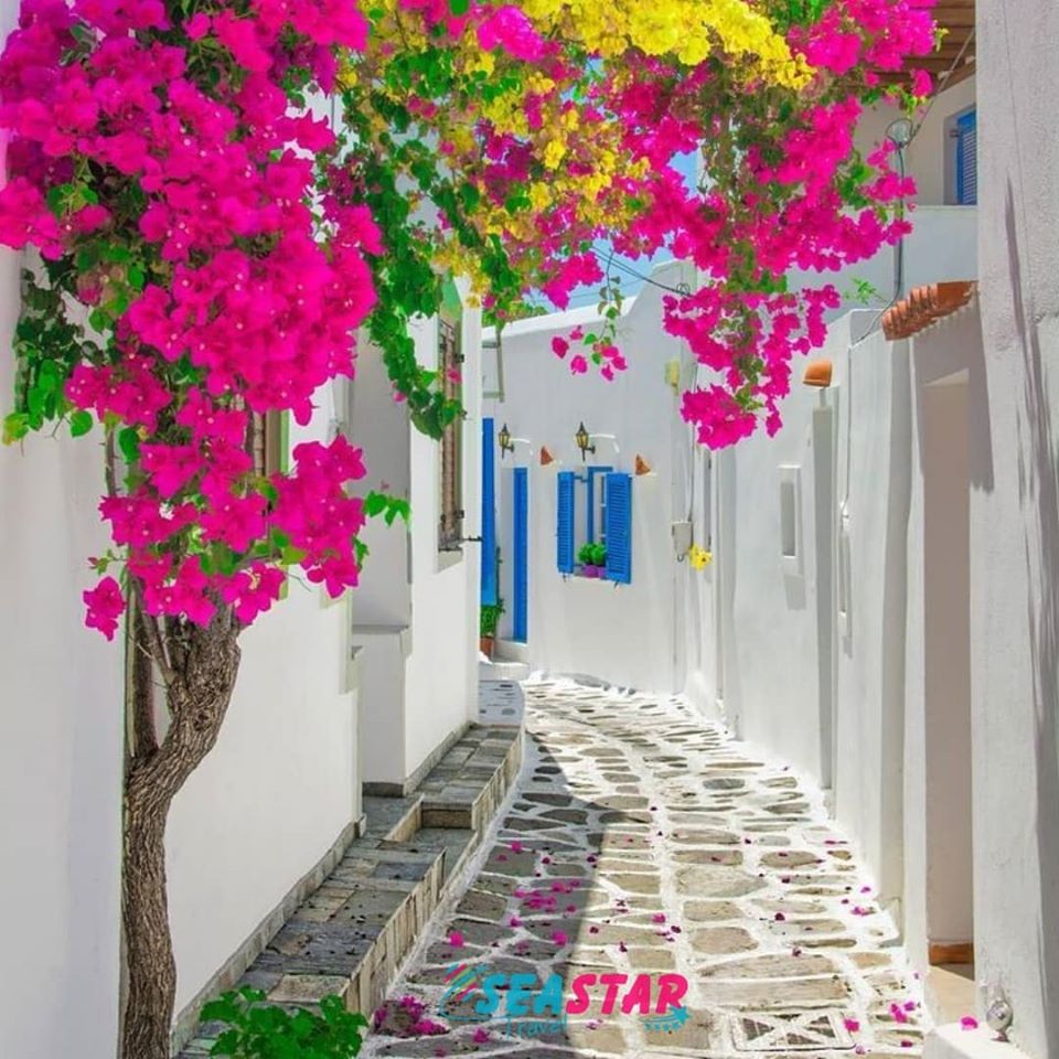 KUZEY EĞE ÇANAKKALE TURU Fotoğrafları 