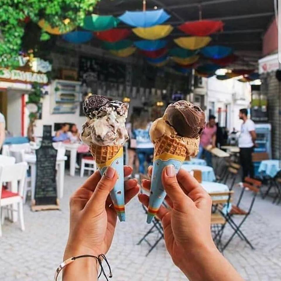 KUZEY EĞE ÇANAKKALE TURU Fotoğrafları 