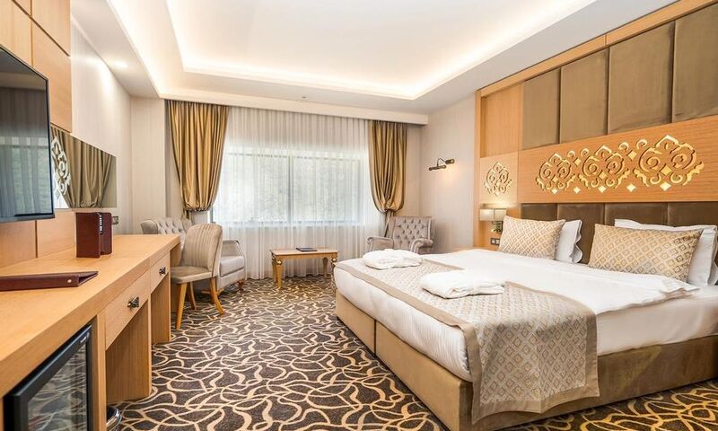 Al-Si Ametis Thermal Hotel Fotoğrafları